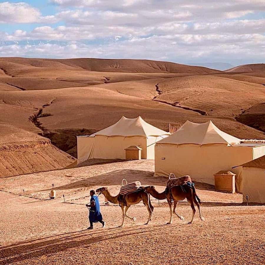 From Marrakech: High Atlas Mountains and 4 Valleys Day Trip - Key things to know before you go