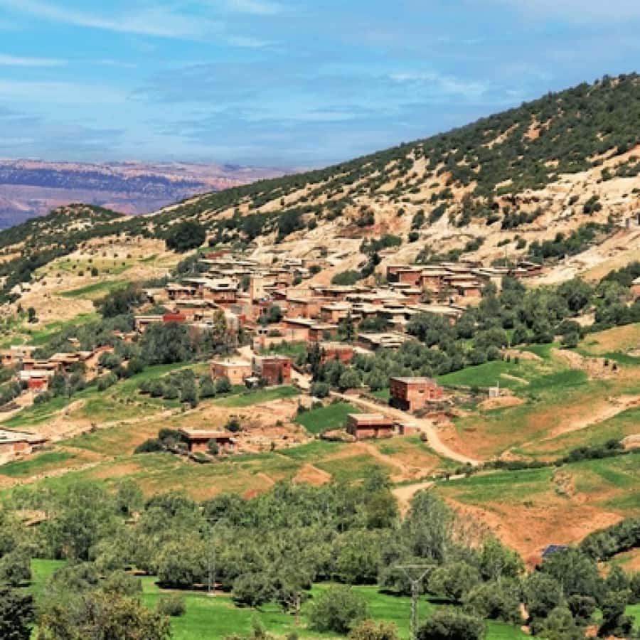 From Marrakech: High Atlas Mountains and 4 Valleys Day Trip - What the $22 price really buys you
