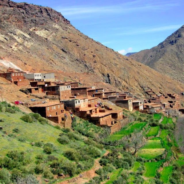 From Marrakech: High Atlas Mountains and 4 Valleys Day Trip - The guide can make or break the day