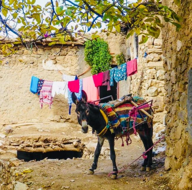 From Marrakech: Imlil Village and Kik Plateau Day Trip - Is $29 good value for this Atlas Mountains day?