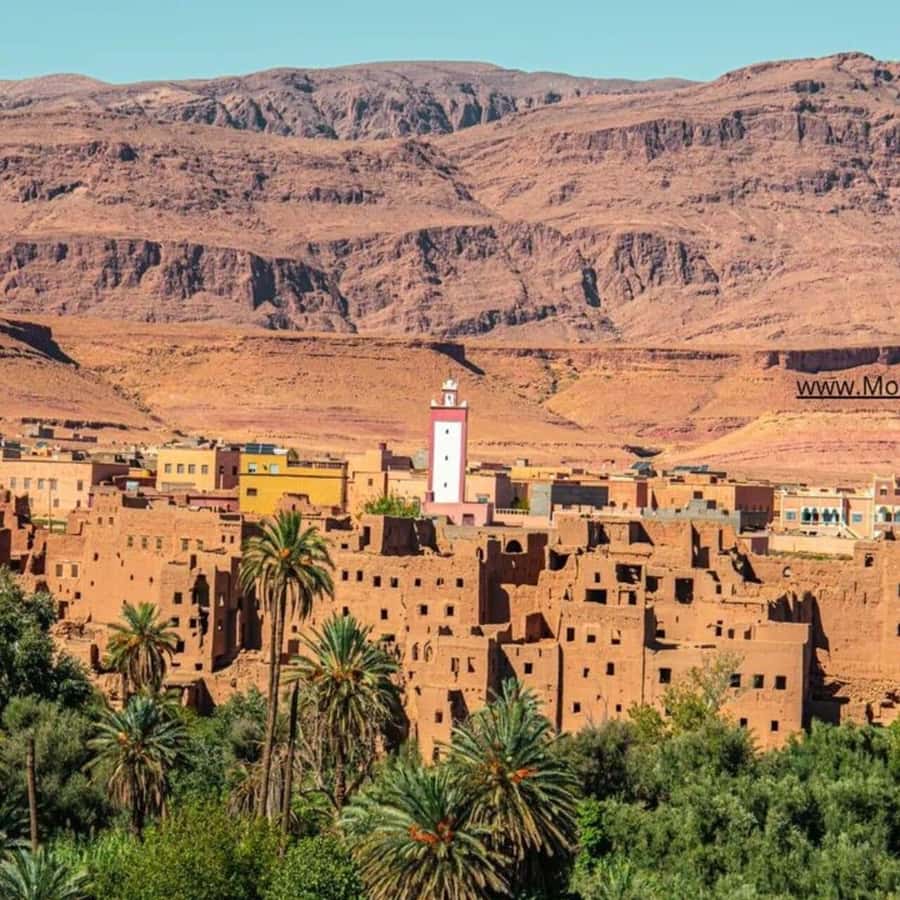 From Marrakech: Ouarzazate & Ait Benhaddou Guided Day Trip - Leaving Marrakech for the High Atlas