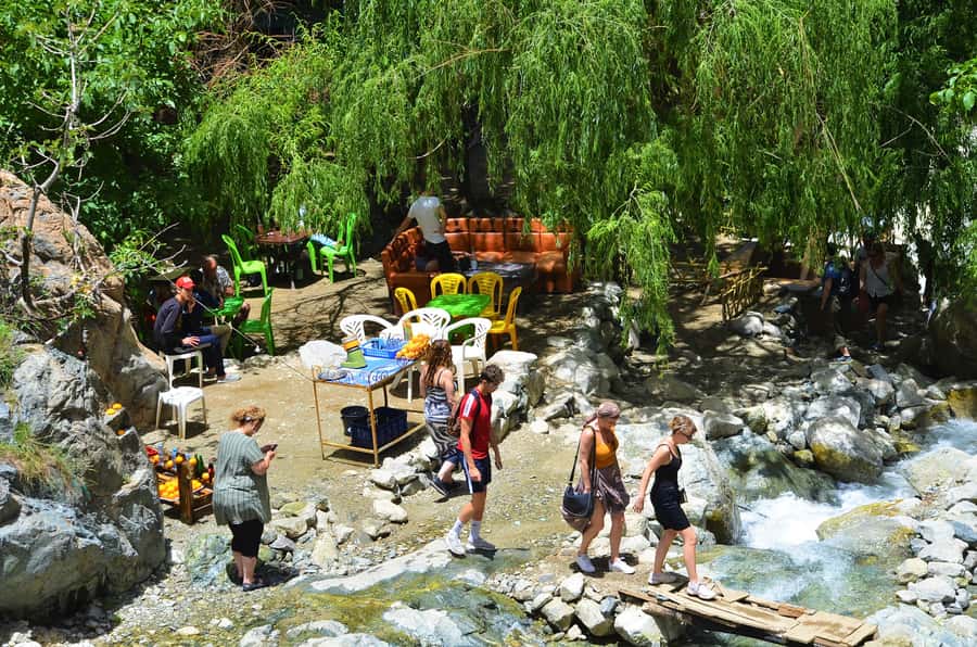 From Marrakech: Ourika Valley & Atlas Mountains Waterfalls - Who should book this Ourika Valley trip?