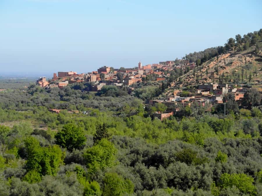 From Marrakech: Ourika Valley & Atlas Mountains Waterfalls - Hiking toward the seven waterfalls