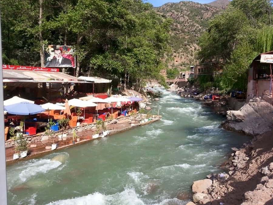 From Marrakech: Ourika Valley & Atlas Mountains Waterfalls - Guides, drivers, and group size