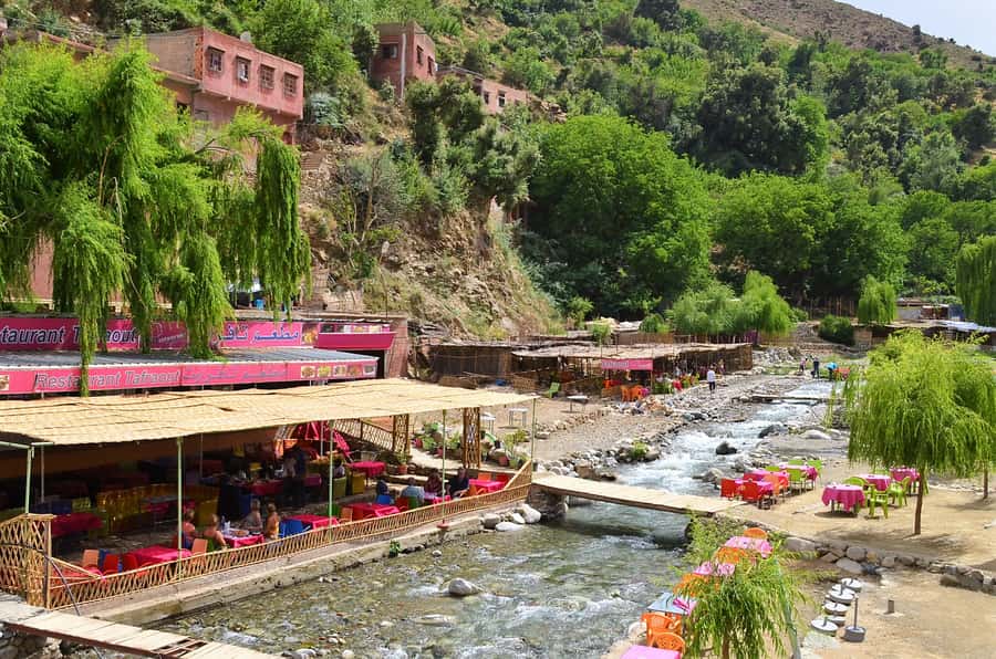 From Marrakech: Ourika Valley & Atlas Mountains Waterfalls - The argan oil cooperative and its mint tea