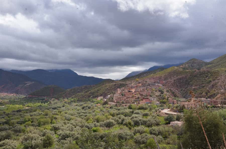From Marrakech: Ourika Valley Day Trip with Lunch - Guides, drivers, and the feel of the day