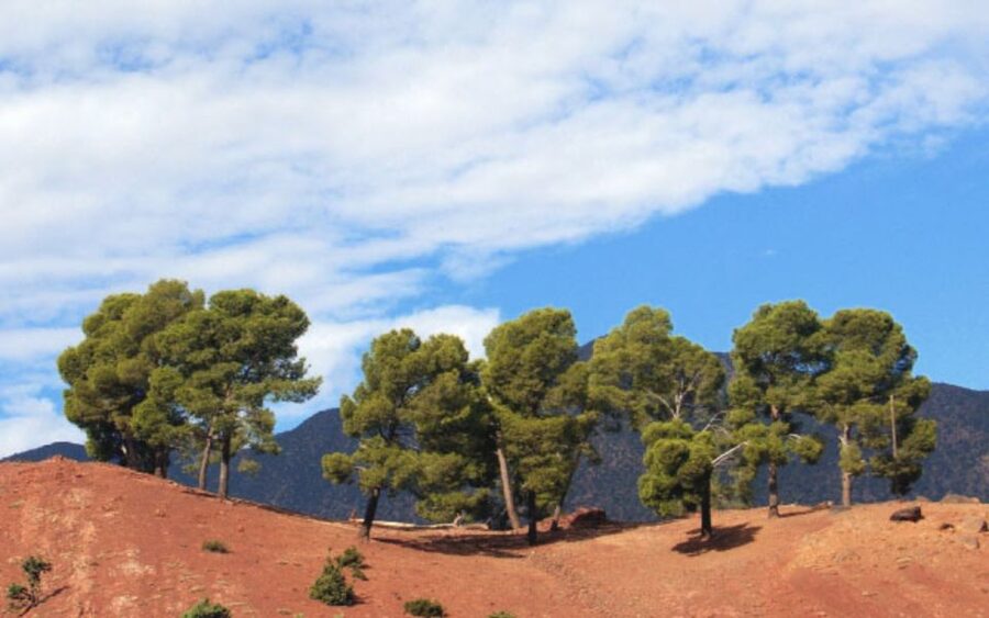 From Marrakech: Ourika Valley Tour with Lunch & Camel Ride - Walking Through Ourika’s Berber Villages