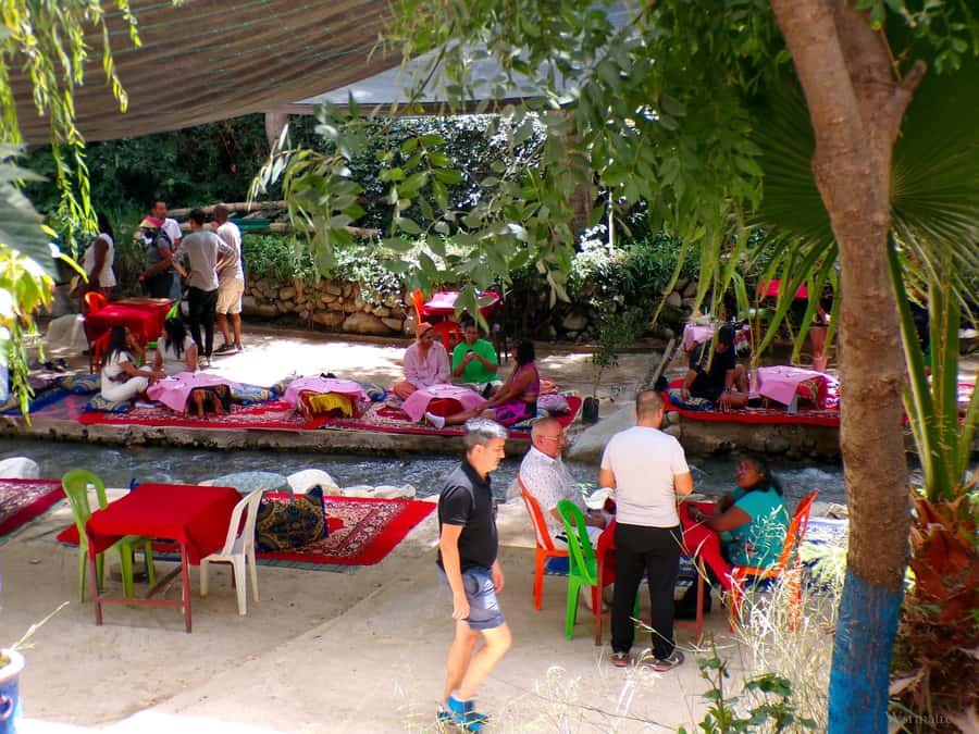 From Marrakech: Ourika Valley Trip, Waterfall Hike & Lunch - What happens at the argan oil cooperative