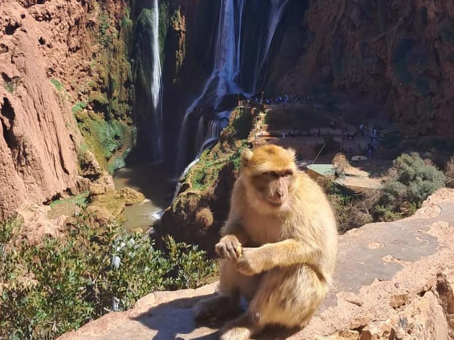 From Marrakech:Ouzoud Waterfalls Day Trip with Boat Tour - Leaving Marrakech for the Atlas foothills