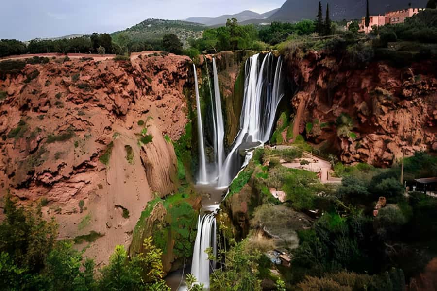 From Marrakech: Ouzoud Waterfalls Full-Day Guided Tour - The argan oil cooperative and Berber culture