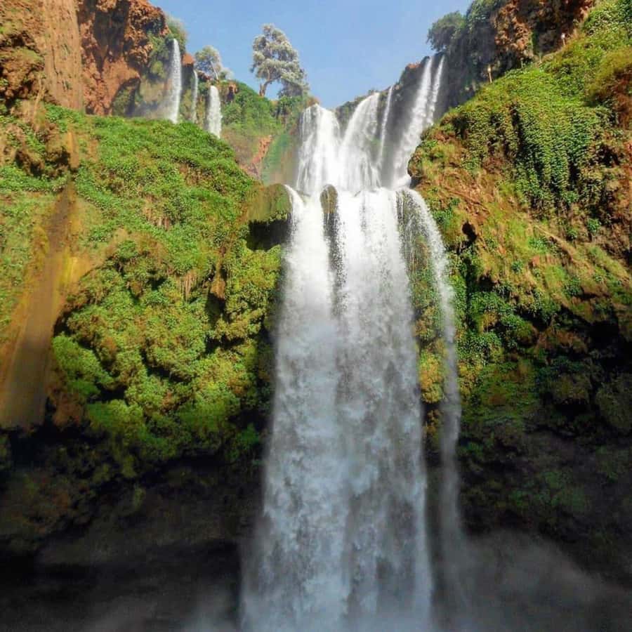 From Marrakech: Ouzoud Waterfalls Guided hike & boat Ride - What the $23 price really delivers