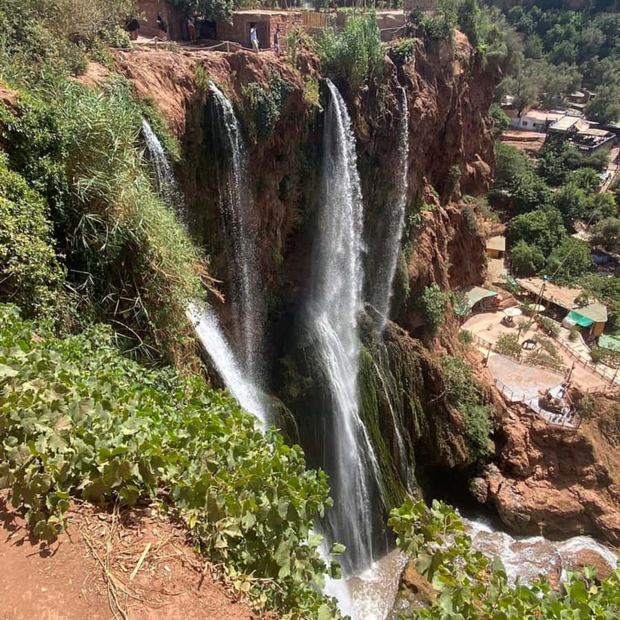 From Marrakech: Ouzoud Waterfalls Guided Tour and Boat Ride - Four hours for views, monkeys, and a swim