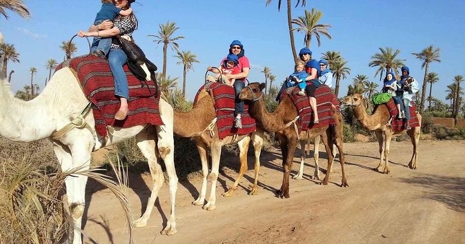 From Marrakech: Palm Grove Quad Bike and Camel Ride Tour - Leaving Marrakech for the Palmeraie