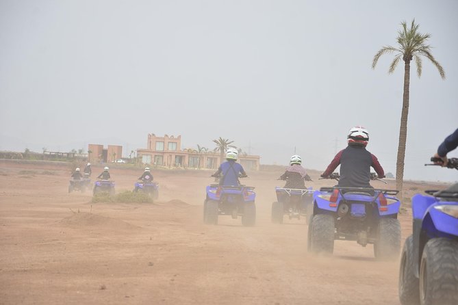 From Marrakech: Palm Grove Quad Bike and Camel Ride Tour - The camel ride through the palm grove