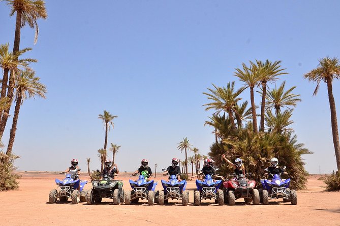 From Marrakech: Palm Grove Quad Bike and Camel Ride Tour - Why the quad ride earns most of the praise