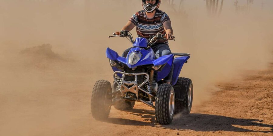 From Marrakech: Palm Grove Quad Bike Tour with Mint Tea - Crossing the Moroccan desert on four wheels