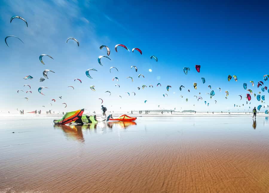 From Marrakech: Private Full-Day Essaouira Tour - Walking the old town and Portuguese defenses
