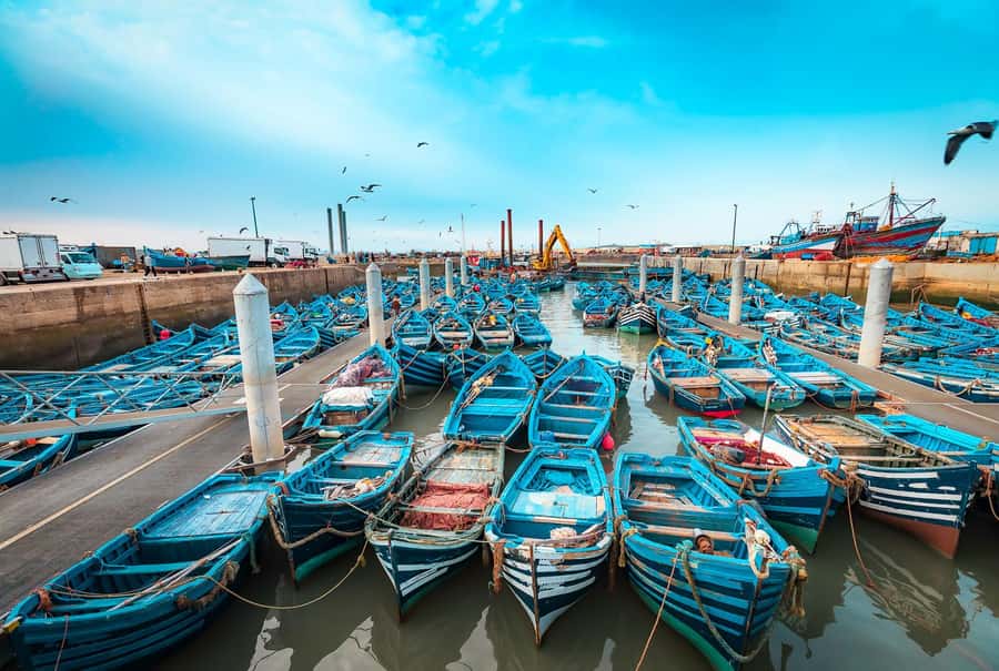 From Marrakech: Private Full-Day Essaouira Tour - Who will enjoy this day trip most