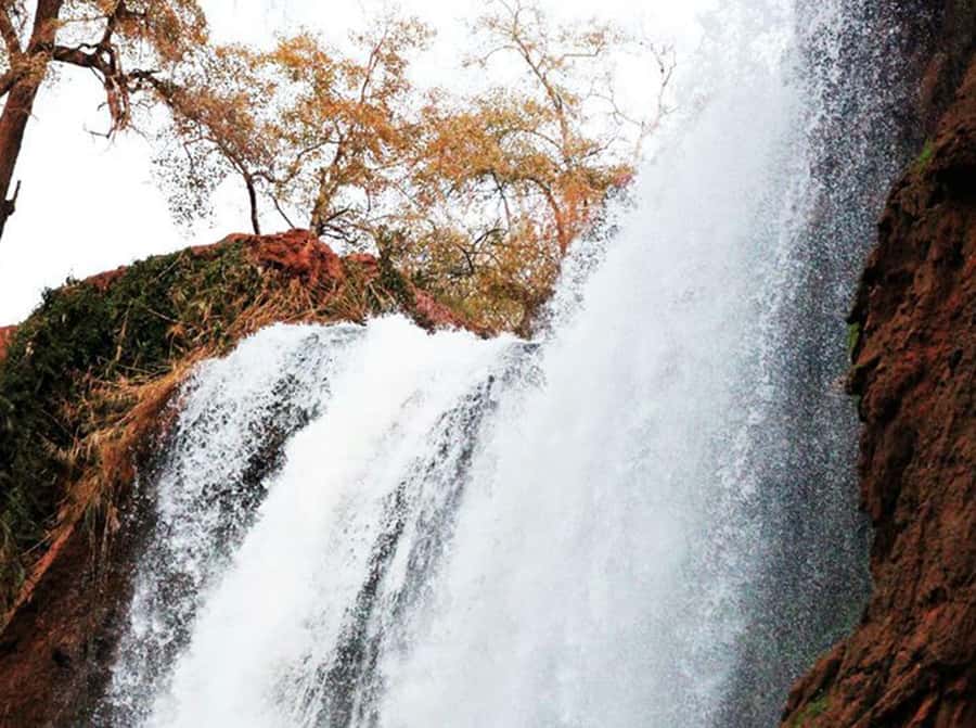 From Marrakech: Private Ouzoud Falls & Boat Ride Day Trip - The return drive to Marrakech
