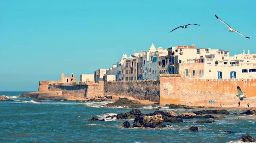 From Marrakech: small group Day Trip To Essaouira Mogador - The Medina, souks, and local shopping