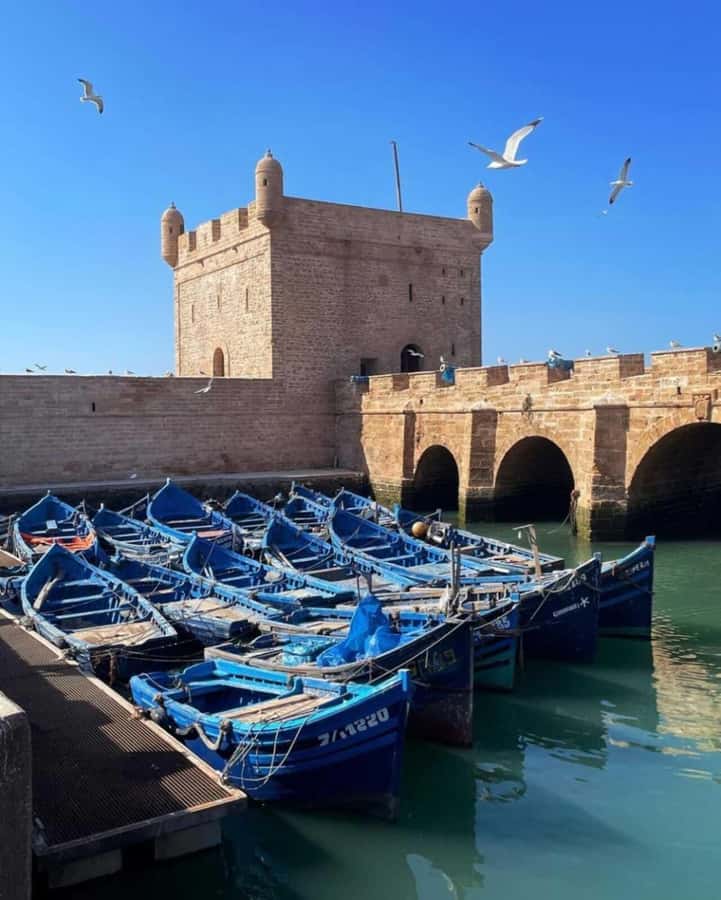 From Marrakech: small group Day Trip To Essaouira Mogador - The Marrakech pickup and the long road west
