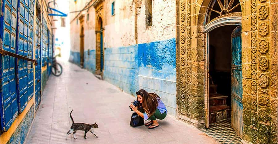 From Marrakech: Small Group To Essaouira & Medina Day Trip - Key points to know before booking