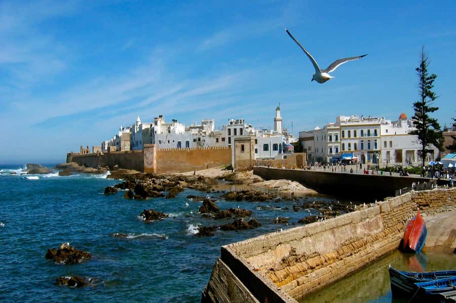 From Marrakech: Small Group To Essaouira & Medina Day Trip - Lunch at the fishing port
