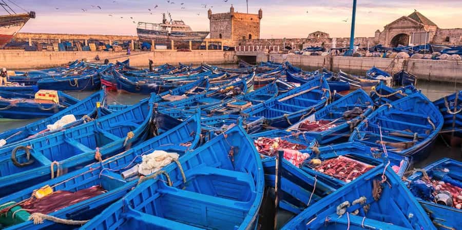 From Marrakech: Small Group To Essaouira & Medina Day Trip - The drive west through argan country