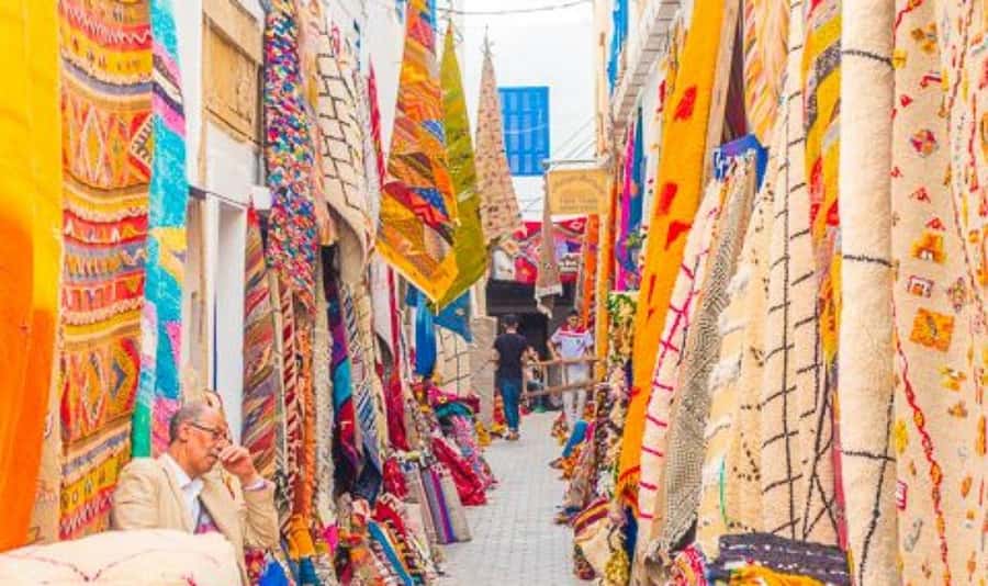 From Marrakech: Small Group to Essaouira & Sekkala Day Trip - Key points before you book