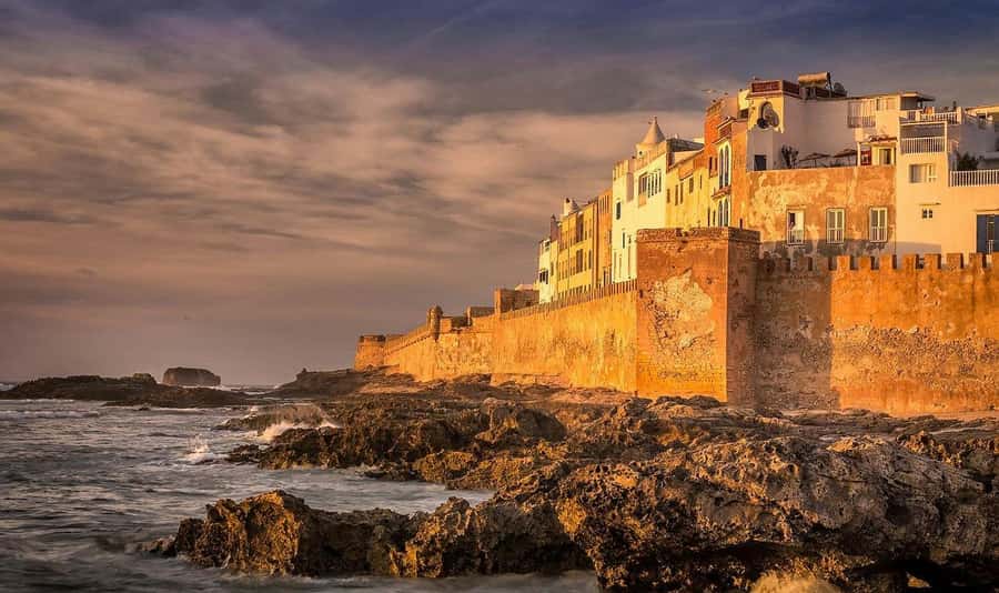 From Marrakech: Small Group to Essaouira & Sekkala Day Trip - The argan cooperative and Morocco’s famous oil