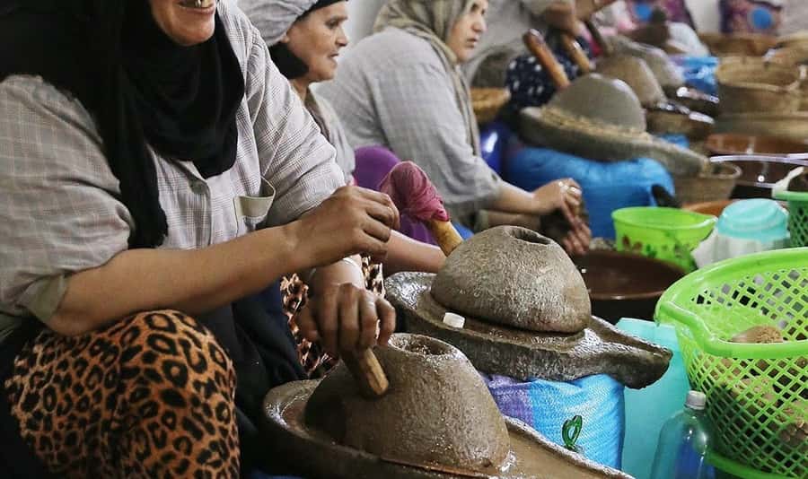 From Marrakech: Small Group to Essaouira & Sekkala Day Trip - Five hours to make Essaouira your own