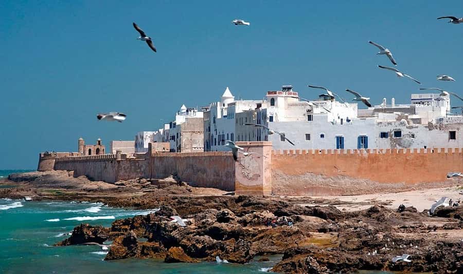 From Marrakech: Small Group to Essaouira & Sekkala Day Trip - Who should book this Essaouira excursion?