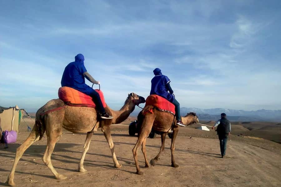 From Marrakech: Sunset Camel Ride in the Agafay Desert - Why Agafay feels different from the Sahara