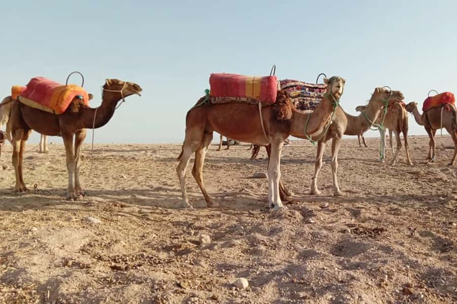 From Marrakech: Sunset Camel Ride in the Agafay Desert - The road toward the rocky plateau