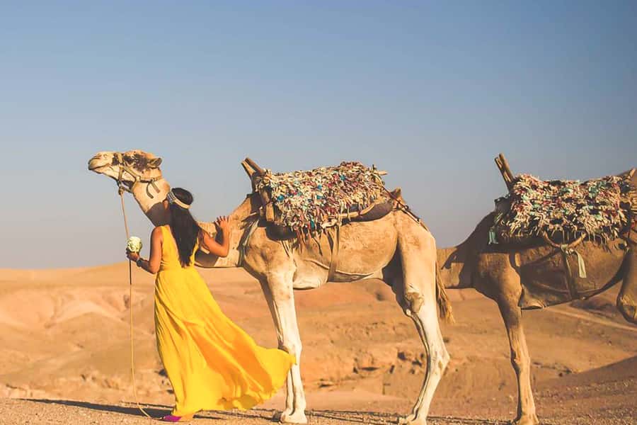 From Marrakech: Sunset Camel Ride in the Agafay Desert - Mounting the camel in Agafay