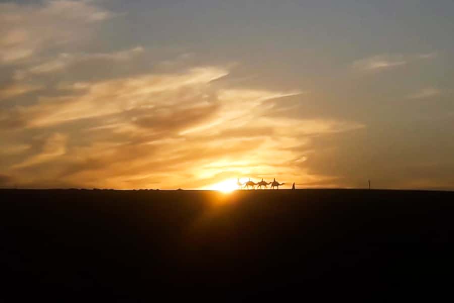From Marrakech: Sunset Camel Ride in the Agafay Desert - Leaving Marrakech around 5:00 PM