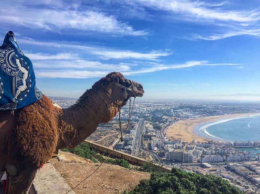 From Marrakech to Agadir Private Day Trip with Lunch - Beach time and the cable car option