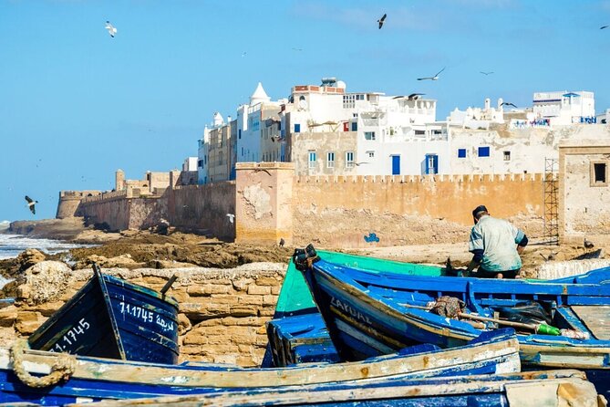 From Marrakech To Essaouira Mogador Full Day Trip | Small-group - Argan trees, photo stops, and the cooperative
