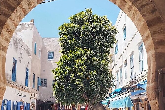 From Marrakech To Essaouira Mogador Full Day Trip | Small-group - How much free time will you really get?