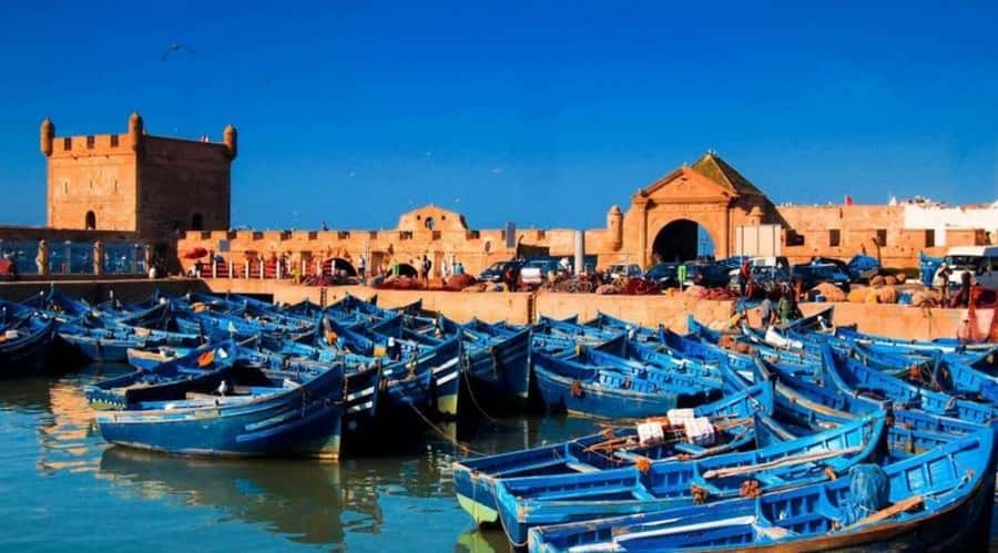 From Marrakech To Essaouira Mogador Full Day Trip Smallgroup - Key points to know before booking