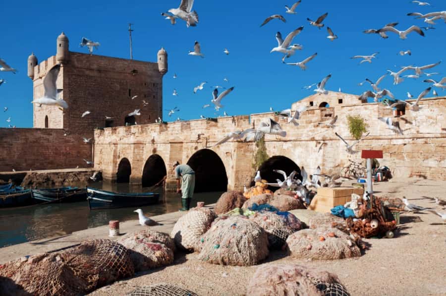 From Marrakech To Essaouira Mogador Full Day Trip Smallgroup - The panoramic approach to Essaouira