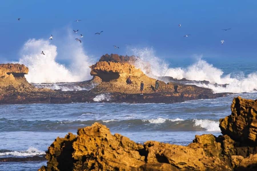 From Marrakech To Essaouira Mogador Full Day Trip Smallgroup - Pickup in Marrakech and the long road west