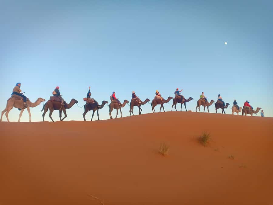 From Marrakech to Fes 3-Day Luxrury Tour via Sahara Desert - Who should book this Marrakech to Fes route?
