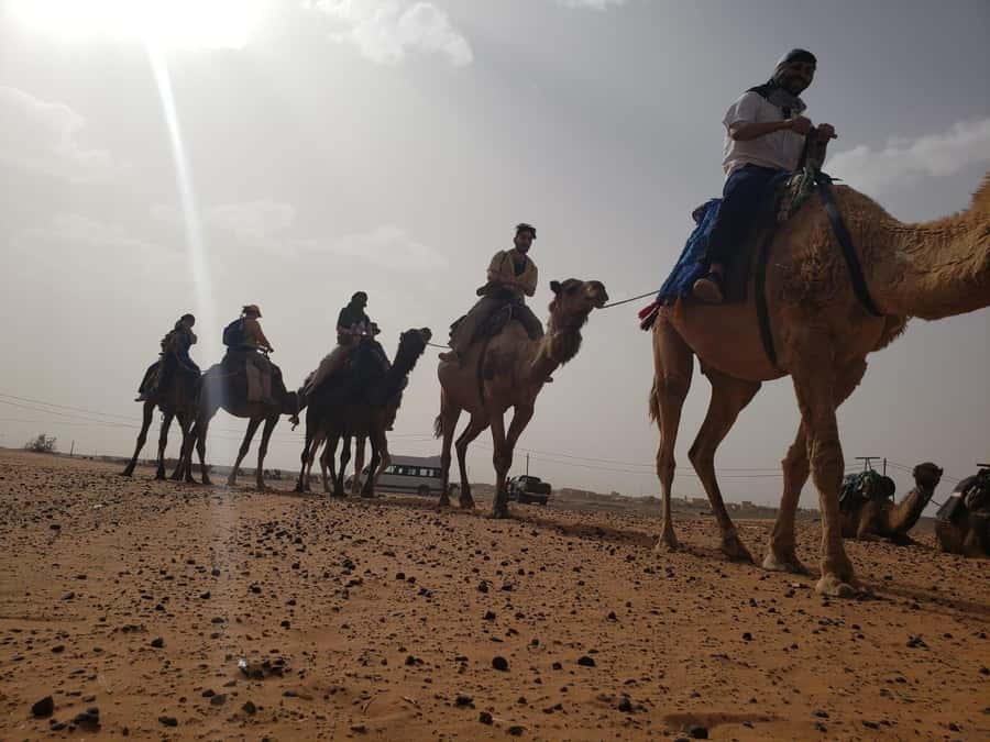 From Marrakech to Fes 4-Day Merzouga Sahara Desert Adventure - Day 4: Sunrise, the Ziz Valley, and arrival in Fes