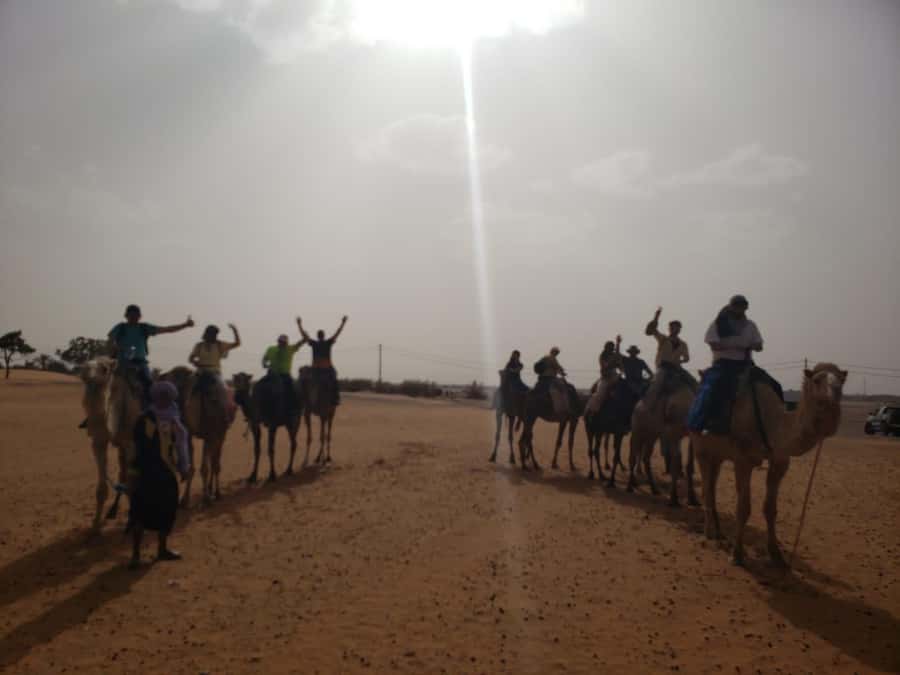 From Marrakech to Fes 4-Day Merzouga Sahara Desert Adventure - Who should book this desert adventure?