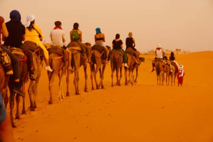From Marrakech: Tour 3-Day To Fez Via-Desert Merzouga - My booking verdict