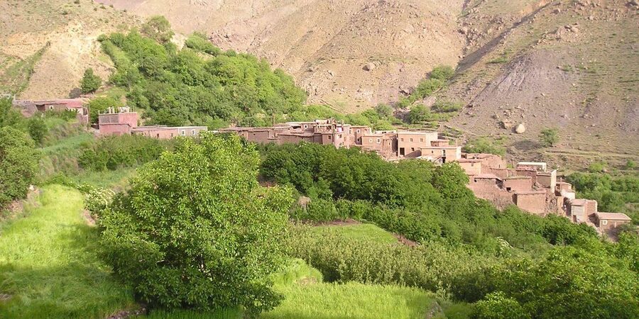 From Marrakech: Trek to Atlas Mountains, Full-Day Trip Lunch - Is $40 good value?