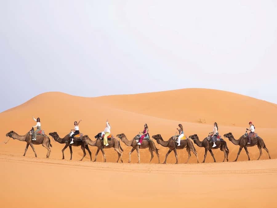 From Marrakech: Unforgettable 3-Day Desert Tour to Fes - Why this Marrakech to Fes route works