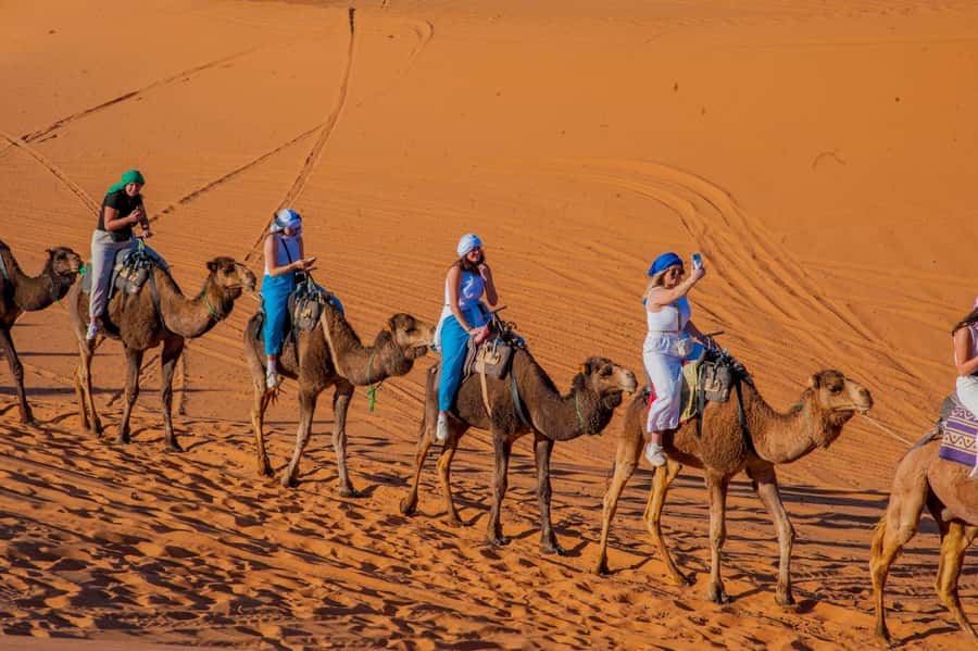 From Marrakech: Unforgettable 3-Day Desert Tour to Fes - Who should book this desert trip