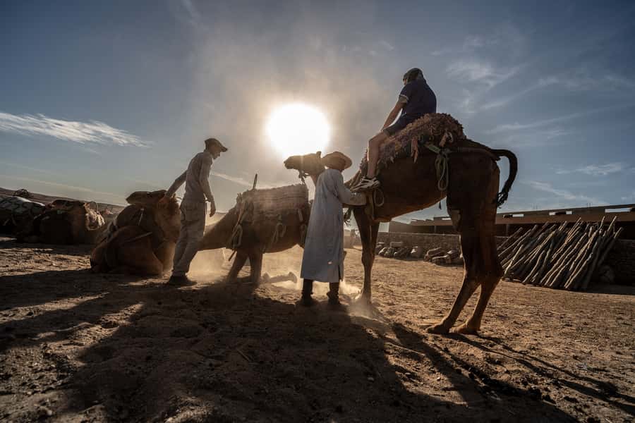 From Marrakech: VIP Agafay Desert & Oasis Camel Experience - Key details before you book